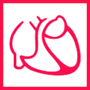 Deutsche Gesellschaft für Kardiologie (DGK)